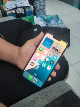 iphone 13 pro max 256
