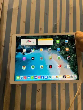 iPad Pro 12,9Inch gen 2 512Gn wifi-cell