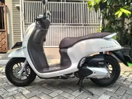 Honda Scoopy Prestige Th 2024