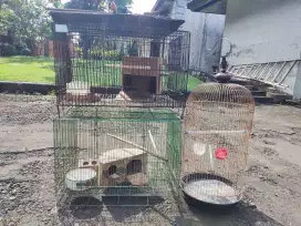 Kandang ternak Lovebird ukuran 60 x40 2 buah dan kandang kapsul