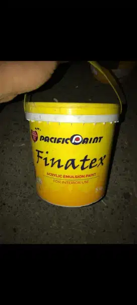 Chat dinding finatex dan jatilux