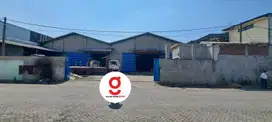 Gudang Murah Harga Miring di Pergudangan Kalianak 55, Surabaya Barat