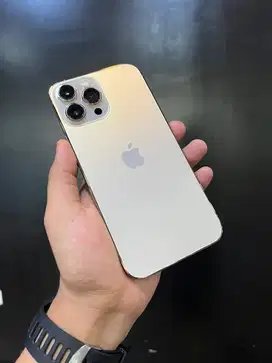 iPhone 13 Promax 256 Gb iBox