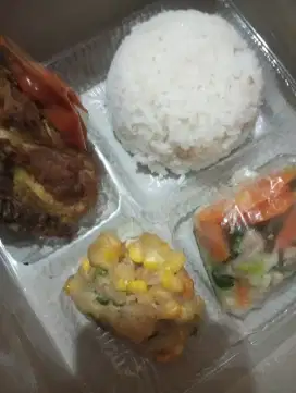 Catering harian dan nasi box