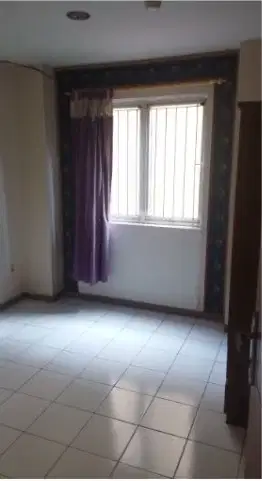 Apartment Palm Mansion (2 BR)