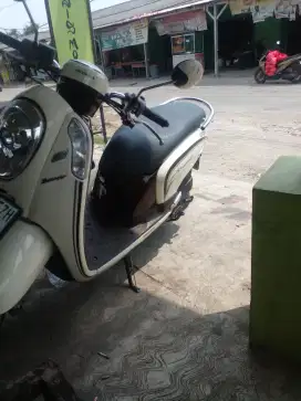 scoopy 2015 ...