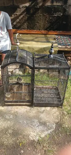 2 kandang burung