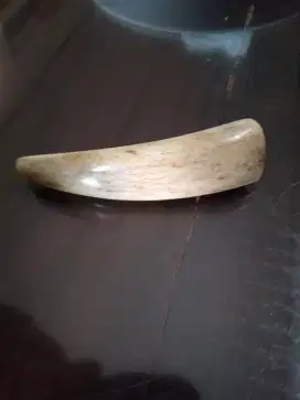 Pipa Cangklong murah