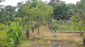 Tanah Di Lokasi Strategis Dekat Puspitek Serpong Cocok Untuk Hunian