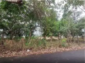 Dijual Tanah sekitar Jalan Pattallassang, Jl Poros Malino, Gowa
