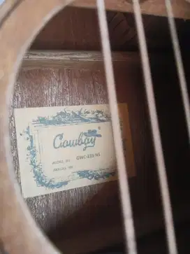 Gitar akustik elektrik cowboy Joss Gandhoss