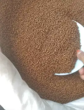 Palet pakan ikan ternak kwalitas mutu