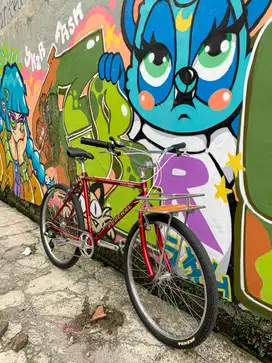 Sepeda Decal Federal Cittycat Commuter Bike