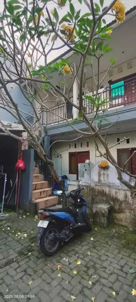 Kost Murah Padonan Canggu Bali