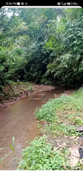 DIJUAL TANAH MURAH DAN LUAS DI UBUD DEKAT PADMA RESORT UBUD