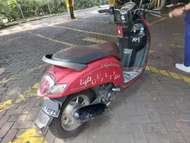 Hond Scopy 2019
