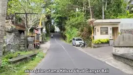 Dijual Tanah Datar di Ubud 1500m2 Akses 6 Meter