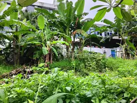 Tanah View Cantik Jalan Siblat Cansari Semarang