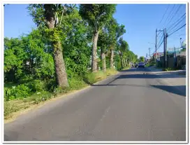 Dekat Exit Toll, 10 Menit ke Kampus UGM, Peruntukan Homestay