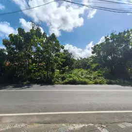 LAHAN OCEAN VIEW DI JALAN UTAMA BELIMBING SARI, PECATU - BALI