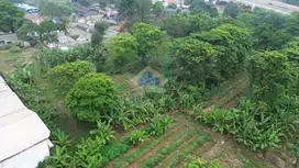 JUAL TANAH SHM LOKASI STRATEGIS DEKAT HIERA BSD AKSES KONTAINER 40 FT