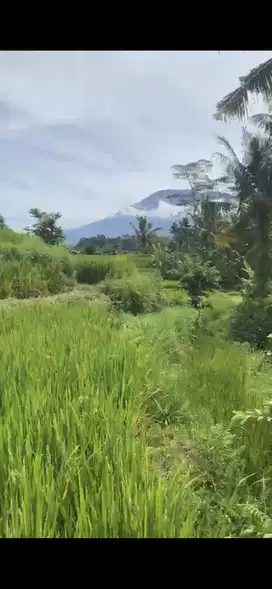 Land 17a for Lease at Kikian Sidemen Traditional Village Bali