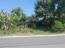 TANAH DIJUAL PINGGIR JALAN, DEPAN BALAI DESA SABRANG LOR TRUCUK