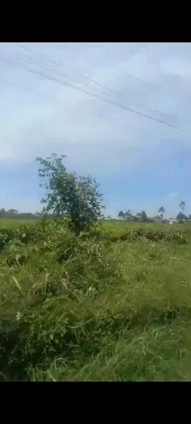 Tanah Luas 80 Hektare di Pangalengan – Cocok untuk Investasi, Perkebun