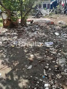 LAHAN BASAH DI ULUJAMI COCOK DIBANGUN KOS KOSAN
