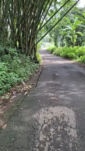 TANAH KEBUN JERUK MURAH MALANG