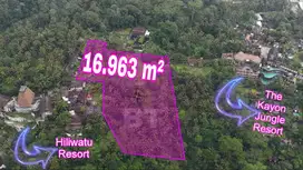 (BA) TANAH LOS TEBING DAN SUNGAI WOS DI PAYANGAN UBUD