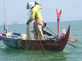 dicari abk untuk kapal cumi