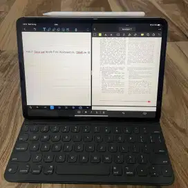 iPad Pro 11 128GB 2nd Gen Wifi + Cellular