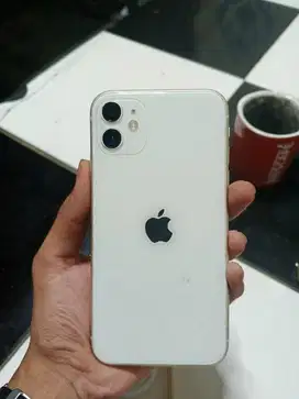 iphone 11 256gb