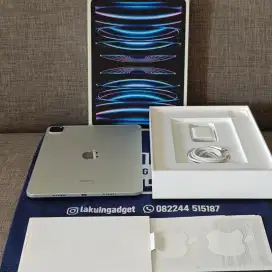 Ipad Pro M2 256Gb Silver Fullset Original Mulus Like New Siap Pakai