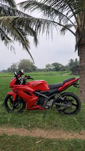 Ninja 150 RR New