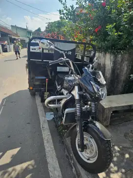 Roda 3 Viar 300cc