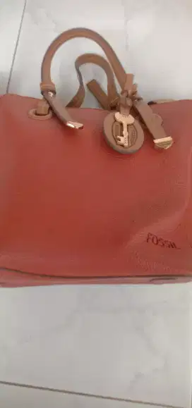Tas Fossil Asli
