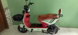 Sepeda Listrik Goda 147 DS