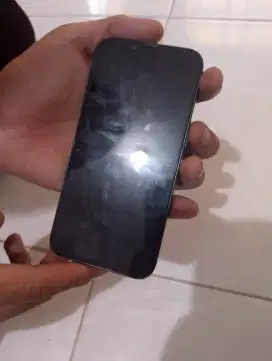 iPhone 13 inter