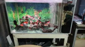 90x50x50 filsam fulset tinggal colok dan rak