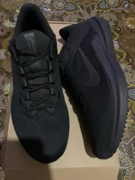 Sepatu Nike Winflo 10
