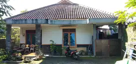 Dijual rumah 300m cuma 1.3m dekat rumah pak ganjar