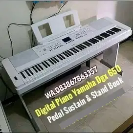 Piano Yamaha Dgx 650 mulud