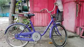 Jual sepeda mini keranjang ring 24