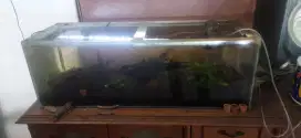 Akuarium ikan hias