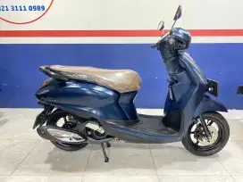 Grand Filano 2023