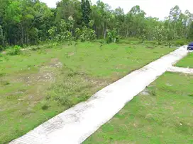 Jl. Gotakan Kulon Progo, Dijual Tanah  Yogyakarta Dekat UNY Wates