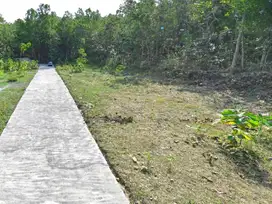 Dekat Samsat Kulon Progo, Tanah Yogyakarta Murah Standar Perumahan