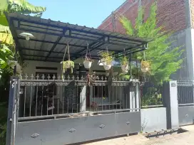 Dikontrakan rumah 2 KT 2 KM, luas tanah 84 m2, bangunan 56 m2